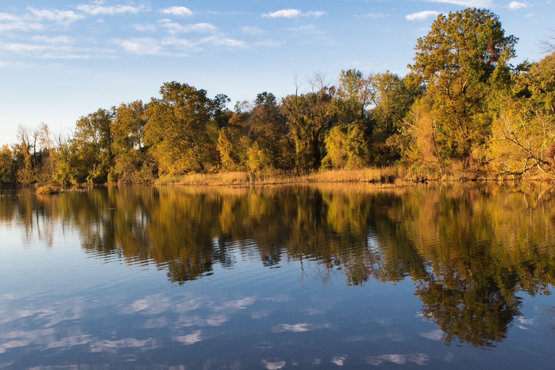 3. Anacostia: Maryland